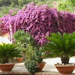 Villaggio Soleado 아파트 *