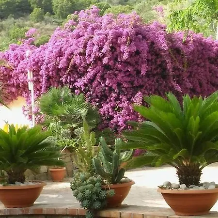 Villaggio Soleado شقة *