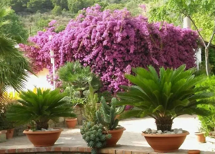 Villaggio Soleado Lejlighed *